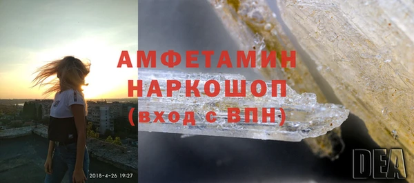прущие грибы Сосновый Бор