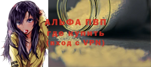 стаф Беломорск