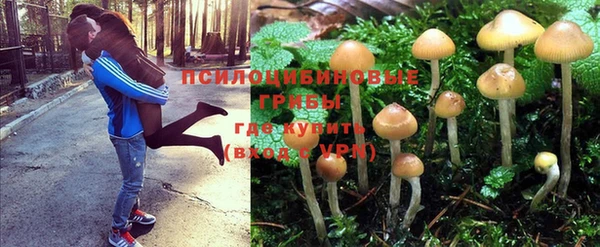 наркотики Баксан