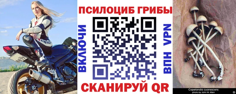Псилоцибиновые грибы MAGIC MUSHROOMS магазин продажи Вятские Поляны