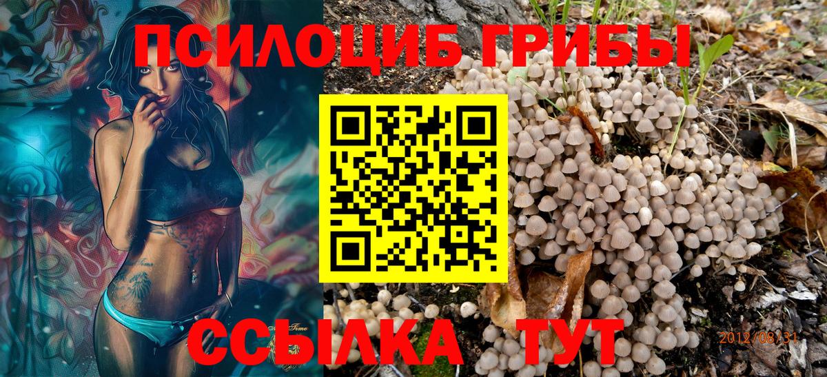 Псилоцибиновые грибы Psilocybine cubensis  Вход с VPN  Вятские Поляны 
