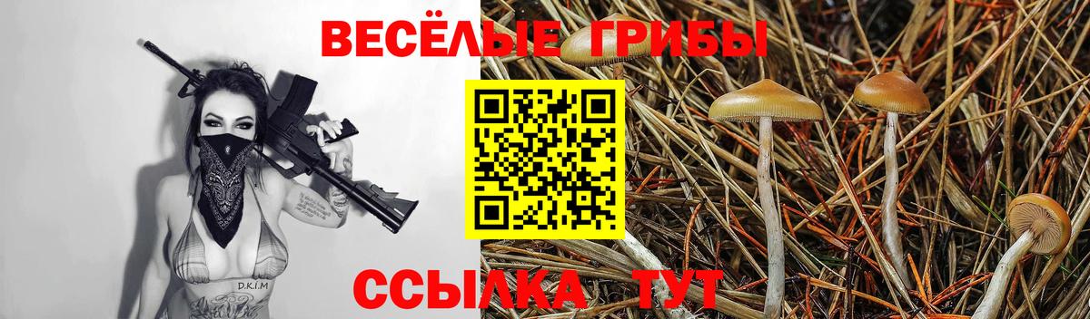 Галлюциногенные грибы ЛСД Вятские Поляны